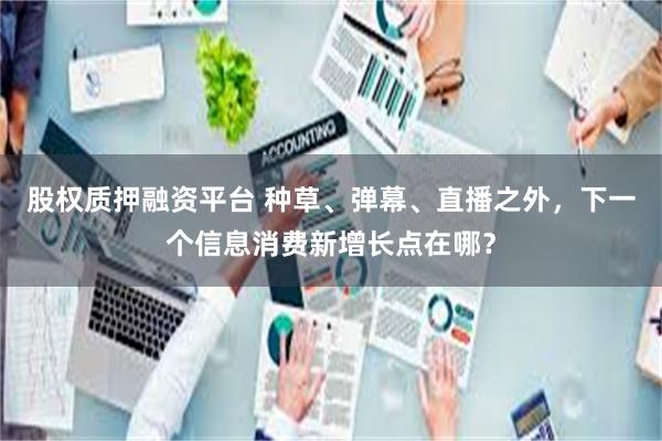 股权质押融资平台 种草、弹幕、直播之外，下一个信息消费新增长点在哪？