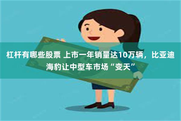 杠杆有哪些股票 上市一年销量达10万辆，比亚迪海豹让中型车市场“变天”