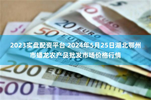 2023实盘配资平台 2024年5月25日湖北鄂州市蟠龙农产品批发市场价格行情