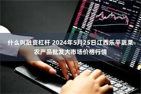 什么叫融资杠杆 2024年5月25日江西乐平蔬菜农产品批发大市场价格行情