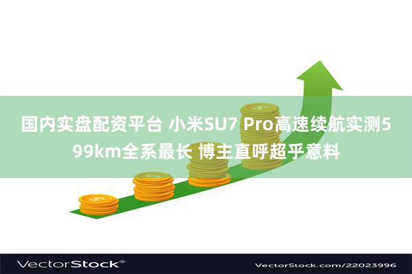 国内实盘配资平台 小米SU7 Pro高速续航实测599km全系最长 博主直呼超乎意料