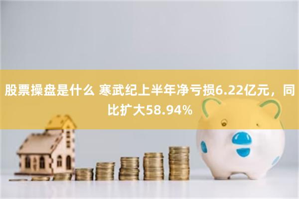 股票操盘是什么 寒武纪上半年净亏损6.22亿元，同比扩大58.94%