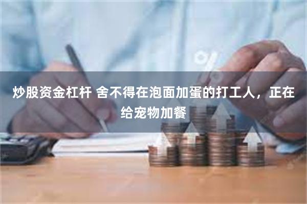 炒股资金杠杆 舍不得在泡面加蛋的打工人，正在给宠物加餐