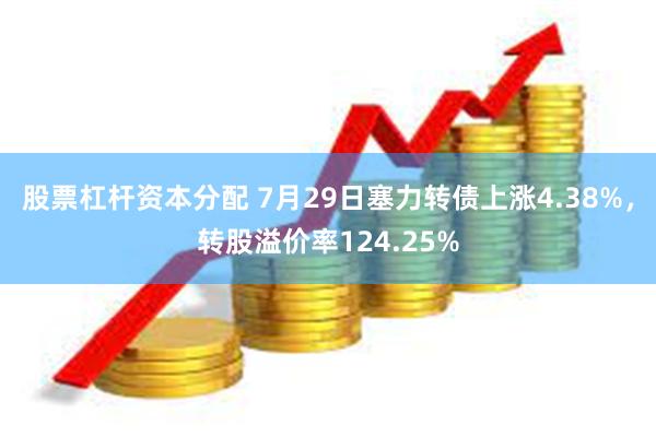 股票杠杆资本分配 7月29日塞力转债上涨4.38%，转股溢价率124.25%