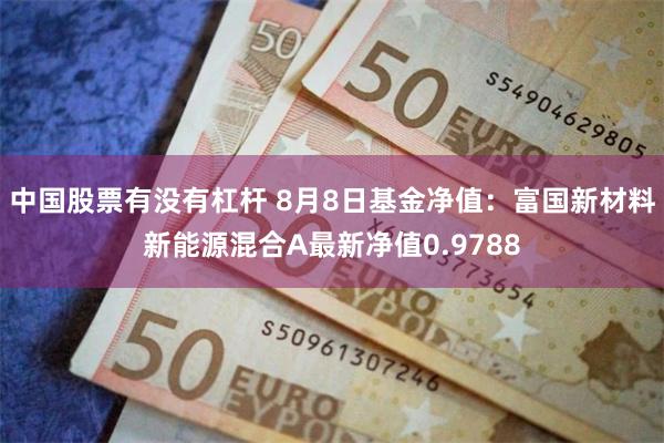 中国股票有没有杠杆 8月8日基金净值：富国新材料新能源混合A最新净值0.9788