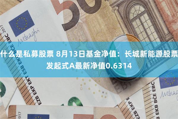 什么是私募股票 8月13日基金净值：长城新能源股票发起式A最新净值0.6314