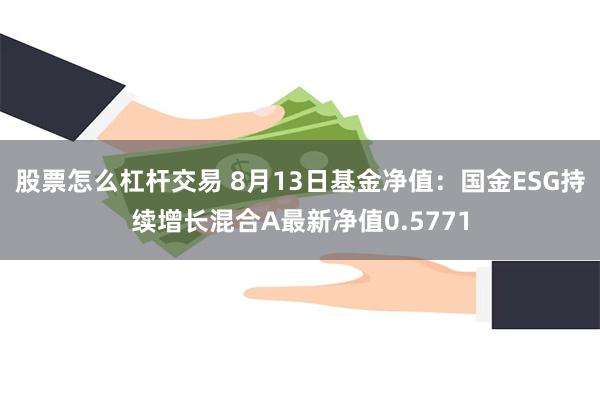 股票怎么杠杆交易 8月13日基金净值：国金ESG持续增长混合A最新净值0.5771