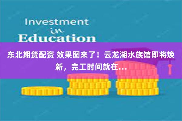 东北期货配资 效果图来了！云龙湖水族馆即将焕新，完工时间就在…