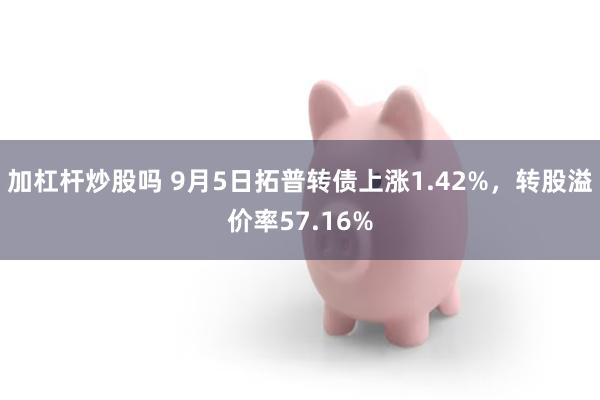 加杠杆炒股吗 9月5日拓普转债上涨1.42%，转股溢价率57.16%