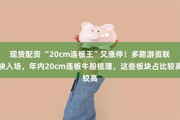 现货配资 “20cm连板王”又涨停！多路游资联袂入场，年内20cm连板牛股梳理，这些板块占比较高