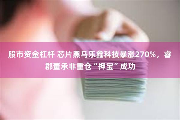 股市资金杠杆 芯片黑马乐鑫科技暴涨270%，睿郡董承非重仓“押宝”成功