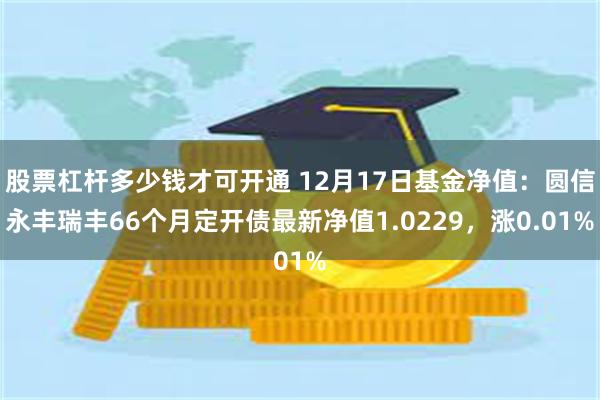 股票杠杆多少钱才可开通 12月17日基金净值：圆信永丰瑞丰66个月定开债最新净值1.0229，涨0.01%