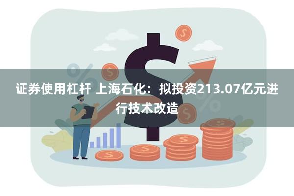 证券使用杠杆 上海石化：拟投资213.07亿元进行技术改造